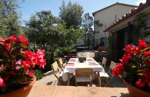 Lugnano in Teverina House | SCAPPO IN UMBRIA, la casa di Giuliana