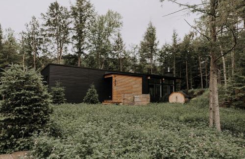La Conception Ski Chalet | Scenic Bright - Sauna - Fire - 20 min Tremblant