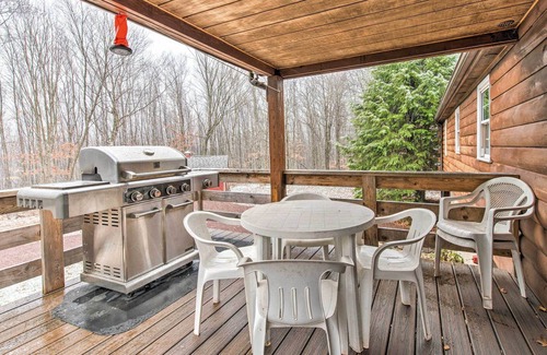 Dushore Cabin | Scenic Dushore Escape w/ Fire Pit + Grill!