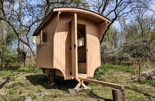 Gustow Other | Schäferwagen auf dem Biogut-Saalkow