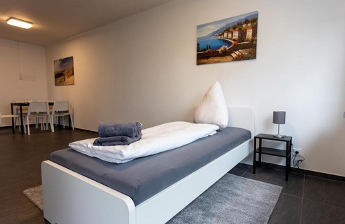 Busingen am Hochrhein Apartment | Schöne 3-Zimmerwohnung mit WLAN
