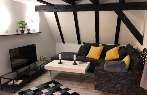 Mainz-Bingen Apartment | Schöne Ferienwohnung Altes Gebälk Fachwerkhaus
