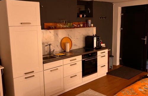 Hasselborn House | Schönes Zimmer mit Küche und Bad im Taunus