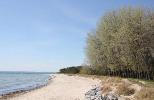 Thiessow Apartment | Schicke FeWo mit Terrasse, gratis Nutzung vom AHOI Erlebnisbad und Sauna in Sellin - Haus De niege Wech FeWo 02