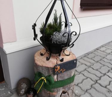 Bad Ischl Apartment | Schmaranzer