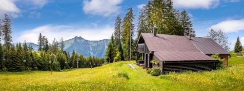 Krispl Ski Chalet | Schnaitstadl-Alm Selbstversorgerhütte