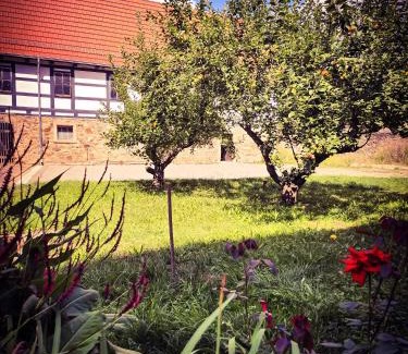 Lommatzsch House | Schwalbenhof