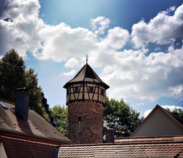 Michelstadt Apartment | Schwarzer Adler