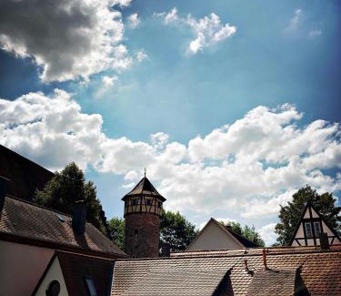 Michelstadt Apartment | Schwarzer Adler