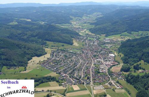 Seelbach Apartment | Schwarzwälder Ferienwohnungen