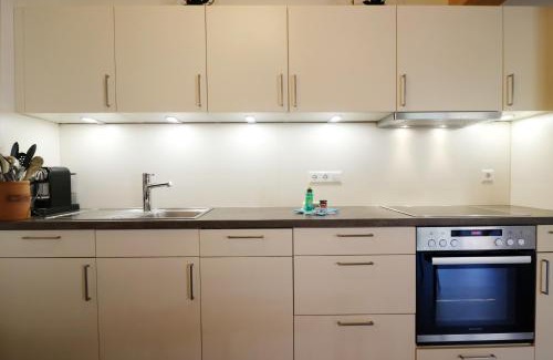Menzenschwand-Hinterdorf Apartment | Schwarzwaldhaus - Fewo Schwarzwaldtanne, St Blasien - Menzenschwand
