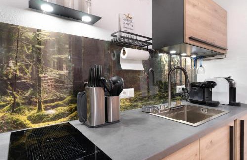 Illenau Apartment | Schwarzwald Chalet Achern