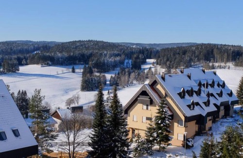 Schonach im Schwarzwald Apartment | Schwarzwaldblick by Interhome