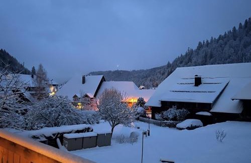 Menzenschwand-Hinterdorf Apartment | Schwarzwaldhaus - Fewo Fichte, St Blasien - Menzenschwand