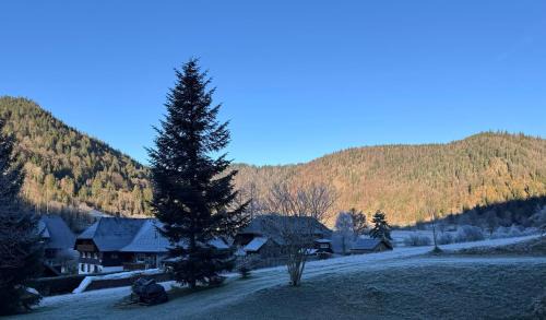 Menzenschwand-Hinterdorf Apartment | Schwarzwaldhaus - Fewo Fichte, St Blasien - Menzenschwand