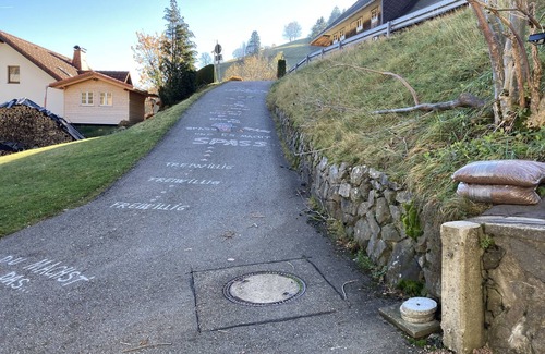 Aftersteg House | Schwarzwaldhaus mit Gemütlichem Ambiente 5 Min. zum Skilift, Steiler Zugang