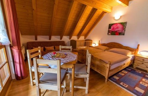 Frohnd Apartment | Schwarzwaldliebe