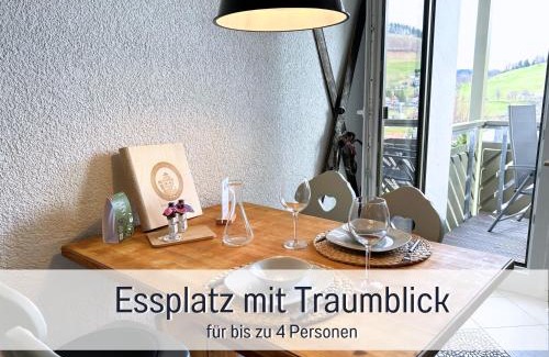 Todtnauberg Apartment | SCHWARZWALDNACHT mit Sauna im Haus ideal zum wandern und biken Balkon Tiefgarage E-Ladestation