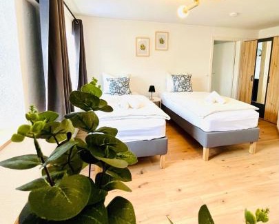 Donaueschingen Apartment | Schwarzwaldnest Donaueschingen
