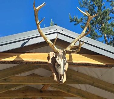 Baldone House | Scientific cottage in Baldone
