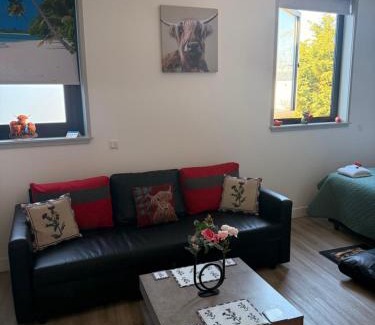 Zandvoort Apartment | Scottish Thistle