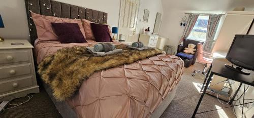 Newcastle Apartment | Scotts Lodge Newcastle County Down
