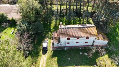 Bettolelle Apartment | SE143 - Senigallia, casale immerso nel verde delle colline