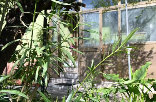 Mondolfo Apartment | SE162 - Marotta, comodo trilocale con giardino e posto auto