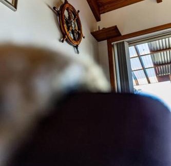 St Helens House | Sea Eagle Escape on Moulting Bay