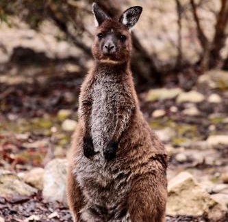 Kingscote House | Sea Loft Kangaroo Island