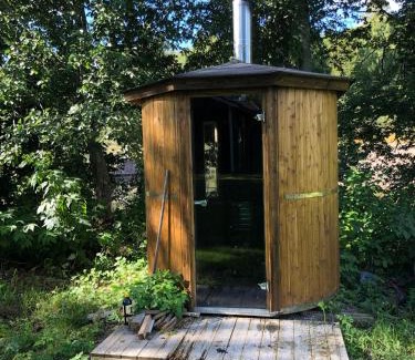 Sater Municipality House | Sea Side Cabin