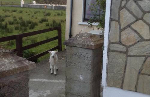 Westport Apartment | Sea View Chalet Kilsallagh Westport Co Mayo