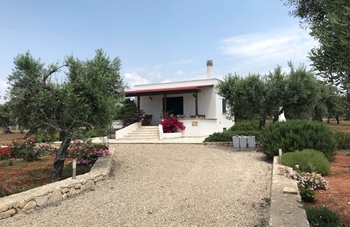 Patu Villa | Sea view villa set in a sea of ?. olive