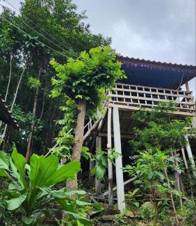 Koh Rong Cabin | Sea Views bungalow kohrong