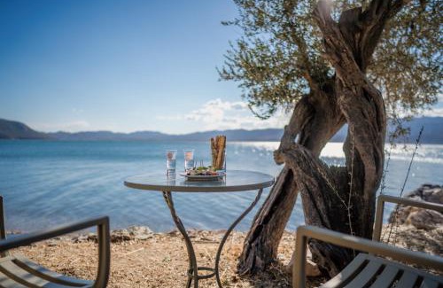 Mytilene House | Seafront Traditional Stone House in Sunset Olive Grove - B