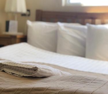 South Shore Hotel | Seafront419 By Seafront Collection