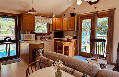Penobscot Cabin | SeaRiver Cabin on the Bagaduce, Kayaks Included. Seals, Wildlife, Birds & Nature