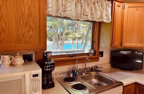 Penobscot Cabin | SeaRiver Cabin on the Bagaduce, Kayaks Included. Seals, Wildlife, Birds & Nature