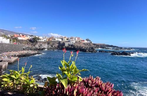 Alcala Apartment | SEAVIEW ALCALA 2 bedroom