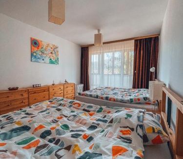 Busteni Apartment | Sebiana