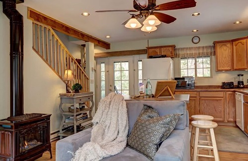 Buena Vista Cabin | Secluded~14er Views~Therapeutic Hot Tub~Brook~Borders USFS 3 sides~Wildlife