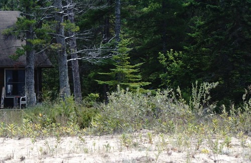 Cheboygan Cabin | Secluded Beach Front Log Cabin Next to Nature Preserve