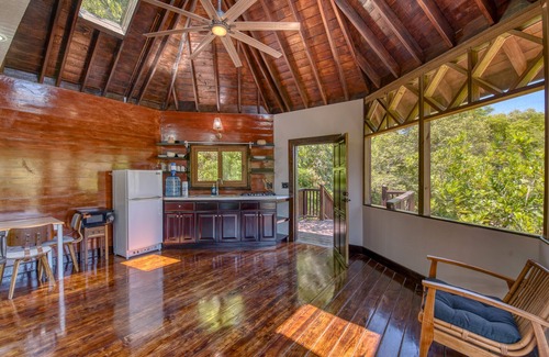 Roatan Cabin | Secluded Cabana - AC, Privacy, Forest View, King, Deck, Kitchen