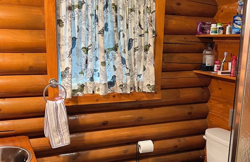 Pine County Cabin | Secluded cabin in the woods on 2000 feet of shoreline. No neighbors.