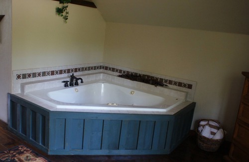 Pineville Cabin | Secluded Cabin on 24 Acres On Big Sugar Creek in Pineville, Missouri