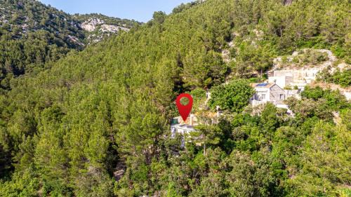 Zrnovo House | Secluded fisherman's cottage Cove Orlandusa, Korcula - 21104