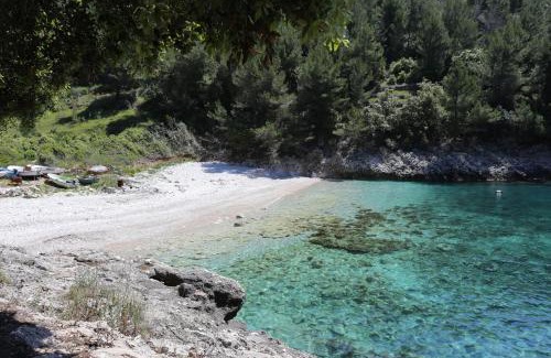 Zrnovo House | Secluded fisherman's cottage Cove Orlandusa, Korcula - 21104