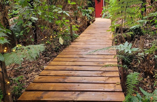 Rotorua Cabin | Secluded forest Retreat, Paradise Valley, Rotorua.