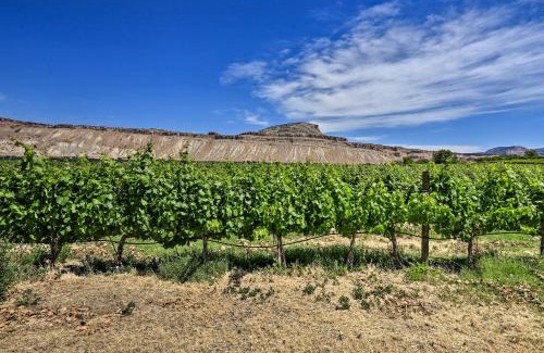 Palisade House | Secluded Home with Patio and Views - 1mi to Vineyards