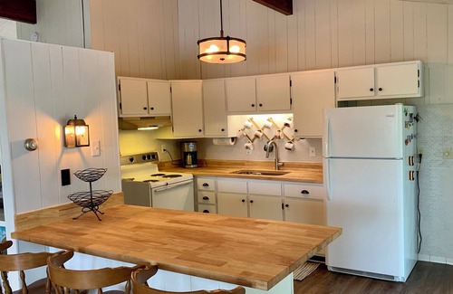 Wolverine House | Secluded Lakefront Home- Winter Wonderland & Summer All-Sports Getaway!